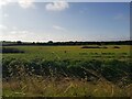 Flat field with dyke on the Isle of Ely