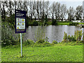 H4572 : Pond, Lisnamallard, Omagh by Kenneth  Allen