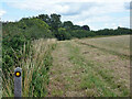 Public footpath 1, Farnham