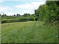 Public footpath 1, Farnham