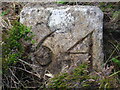 NY8121 : Old Boundary Marker on Mickle Fell by Colin Smith