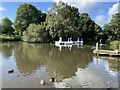 Swan boats at Cannon Hall Country Park