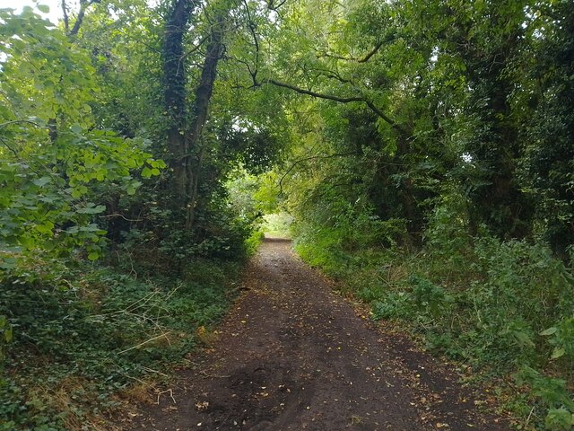 Red Lane © Oscar :: Geograph Britain and Ireland