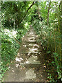 Steps on public footpath 1, Farnham