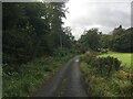 Minor road near Craigbeck