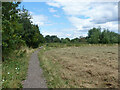 Public footpath 167, Farnham