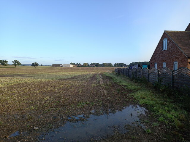 Field on the western edge of Drayton Bassett