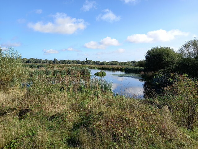 Shallow lake in the Middleton RSPB reserve