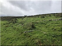 NT3713 : Remains of a sheepfold by Richard Webb