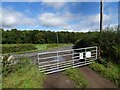 Himley Gate View