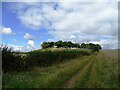 Farm on a hill