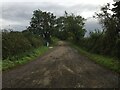 NZ3213 : Road towards Morton Farm by Steven Brown