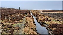NY9546 : Drainage channel near Sikehead disused lead mines by Clive Nicholson