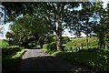 Bridleway and road to Wintringham