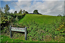 H4372 : Mullaghmenagh Upper Townland by Kenneth  Allen