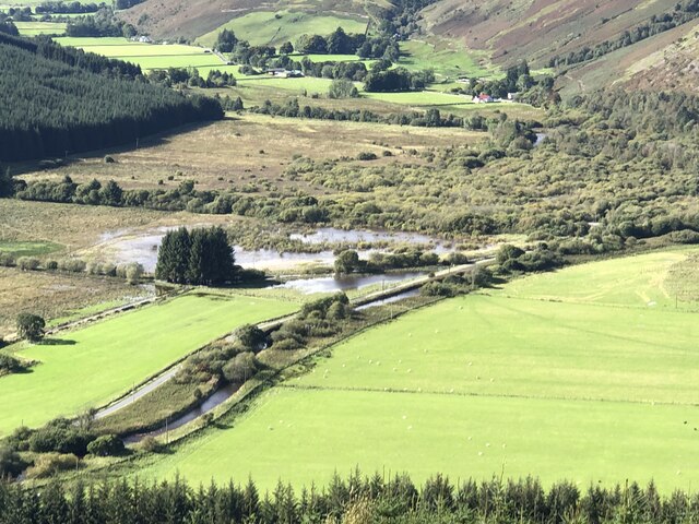 Ettrick Marsh © Richard Webb cc-by-sa/2.0 :: Geograph Britain and Ireland