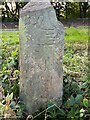 Milestone - Rudding Lane - Harrogate (4)