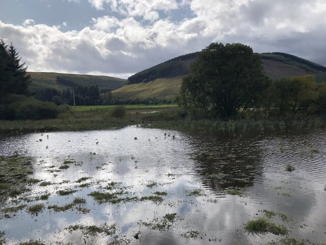 Flooded ground, Ettrick Marshes © Richard Webb :: Geograph Britain and ...