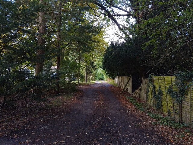 Bridleway towards Clay Hill Road © Oscar Taylor :: Geograph Britain and ...