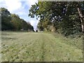 Footpath towards Sulhamstead Bannister Upper End