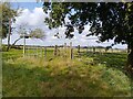 Sulhamstead Bannister Upper End footpath junction