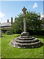 Churchyard cross, Higham Ferrers