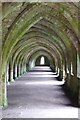 SE2768 : Vaulting in Fountains Abbey by Philip Halling