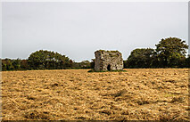 S8819 : Castles of Leinster: Tracystown, Wexford (1) by Mike Searle