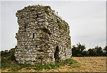 S8819 : Castles of Leinster: Tracystown, Wexford (4) by Mike Searle