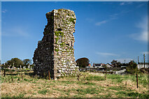  : Castles of Munster: Crooke, Waterford (1) by Mike Searle