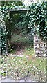 Garden entrance, Glen Road, Laugharne