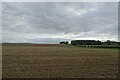 Fields north of Kennythorpe