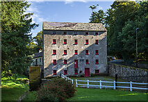 S8518 : The mill at Foulkesmill, Co. Wexford by Mike Searle