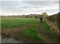 Footpath through Farmland