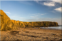 S7903 : On Carnivan Beach, Co. Wexford by Mike Searle