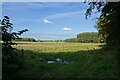 Field north of Whitehills Wood