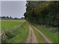 Bridleway towards Brockhurst School