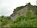SX4952 : North wall of Fort Stamford by Stephen Craven