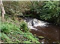 Small Waterfall: Luggie Water