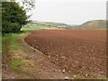 Newly sown field at Chapel farm