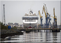 J3677 : Cruise ship and cranes, Belfast by Rossographer