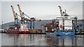 J3678 : The 'Nordic Hamburg' at Belfast by Rossographer