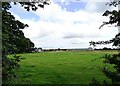 NZ3455 : Looking across the fields to Offerton by Robert Graham