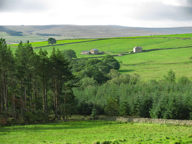 Ladley Wood © Mike Quinn Geograph Britain And Ireland