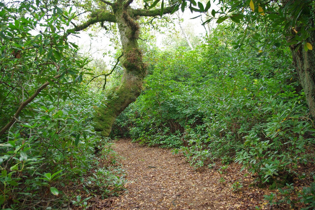 Lavington Common circular walk © Robin Webster cc-by-sa/2.0 :: Geograph ...