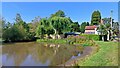 Coleshill pond