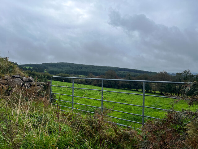 gate-into-field-neville-goodman-geograph-ireland