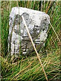 NY8910 : Old Boundary Marker close to Aygill Pool and south of the A66 by Colin Smith