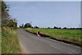 Beet Field by Sladbury