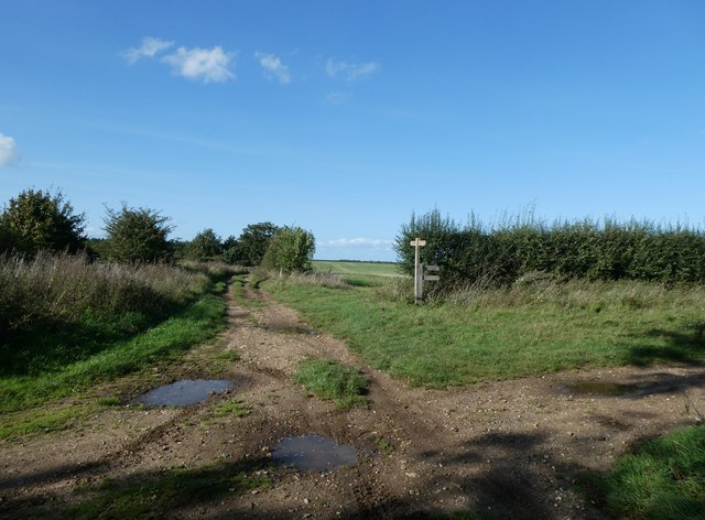 The path divides on the Peddars Way © Basher Eyre cc-by-sa/2.0 ...